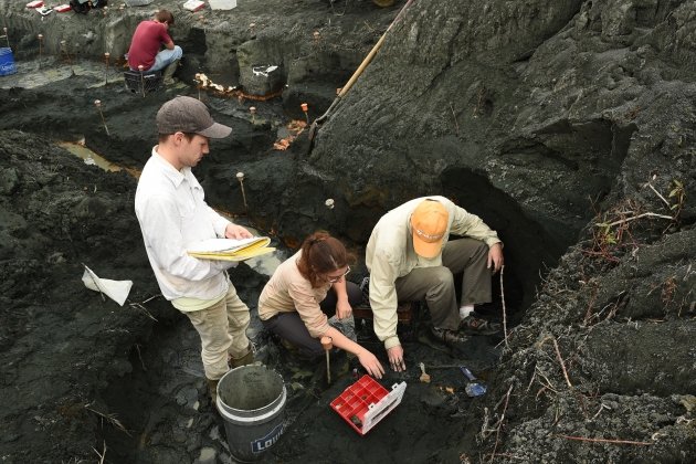 surveyors examining a ground pit