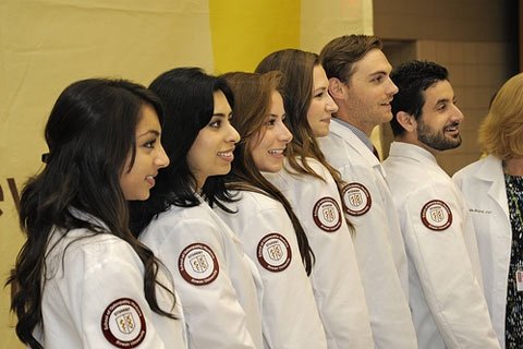 seven people wearing white coats