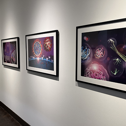 Student artworks hanging on a white wall.