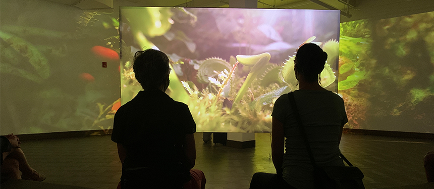 Field Companion opening reception