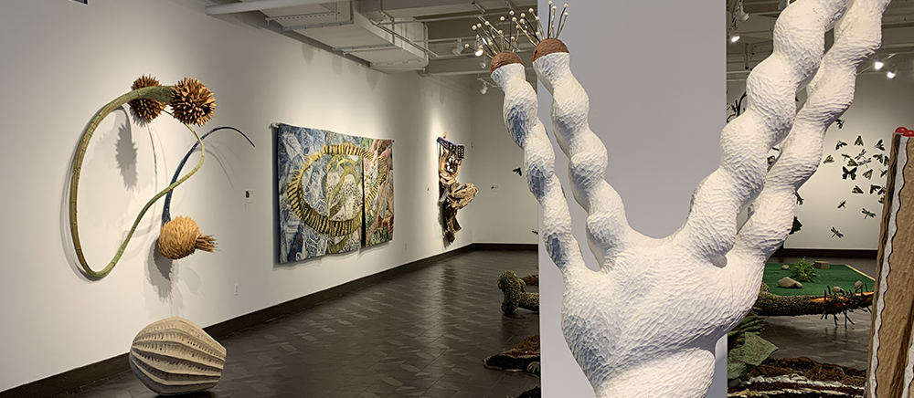 Cultivated Space gallery view