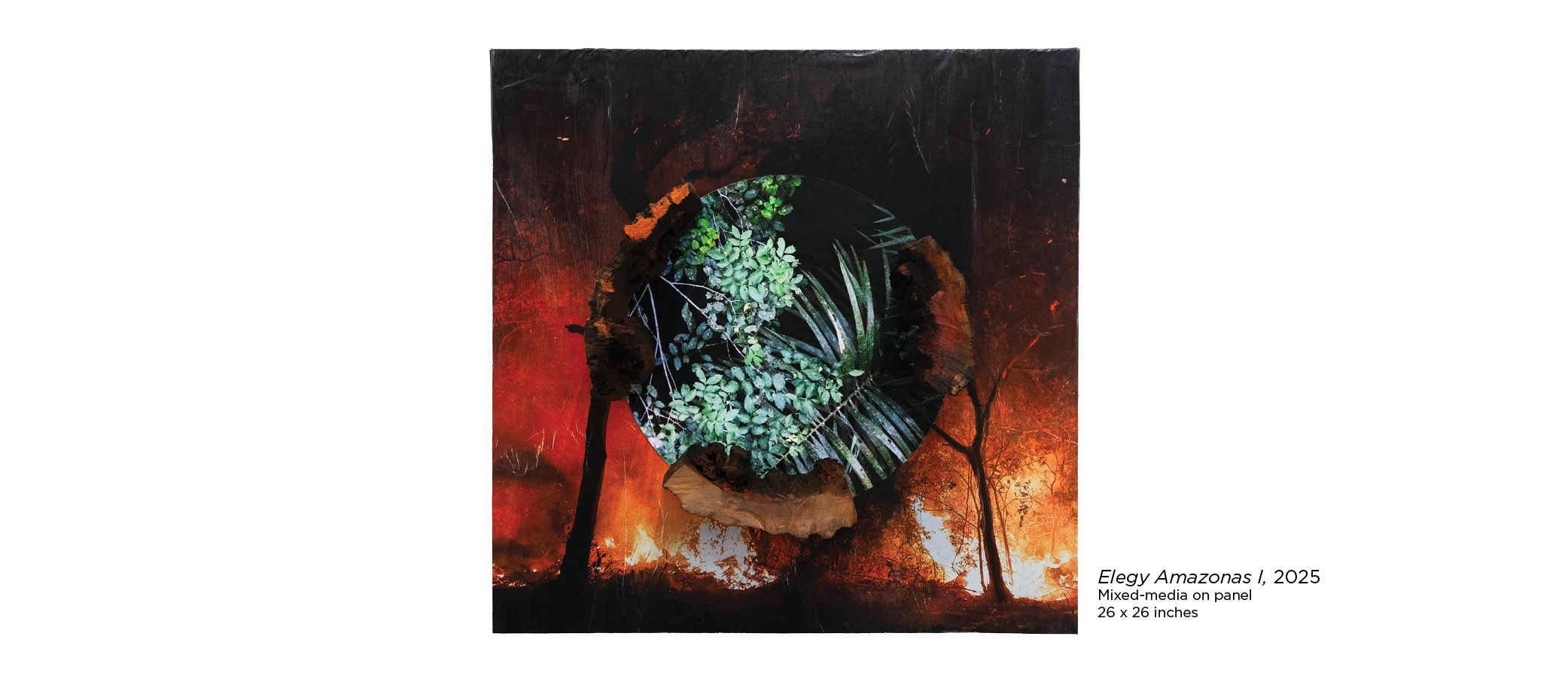 Diane Burko Elegy Amazonas I