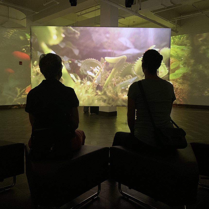 Nadia Hironaka & Matthew Suib: Field Companion