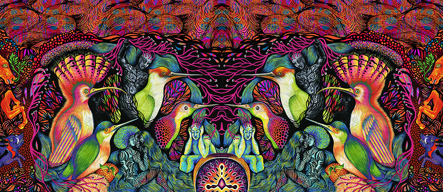 Heather Ujiie: Terra Incognita