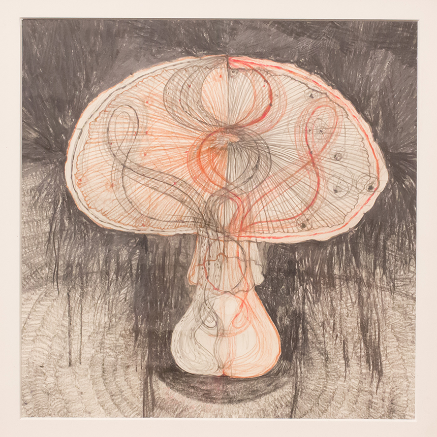 Mel Chin: Disparate Acts