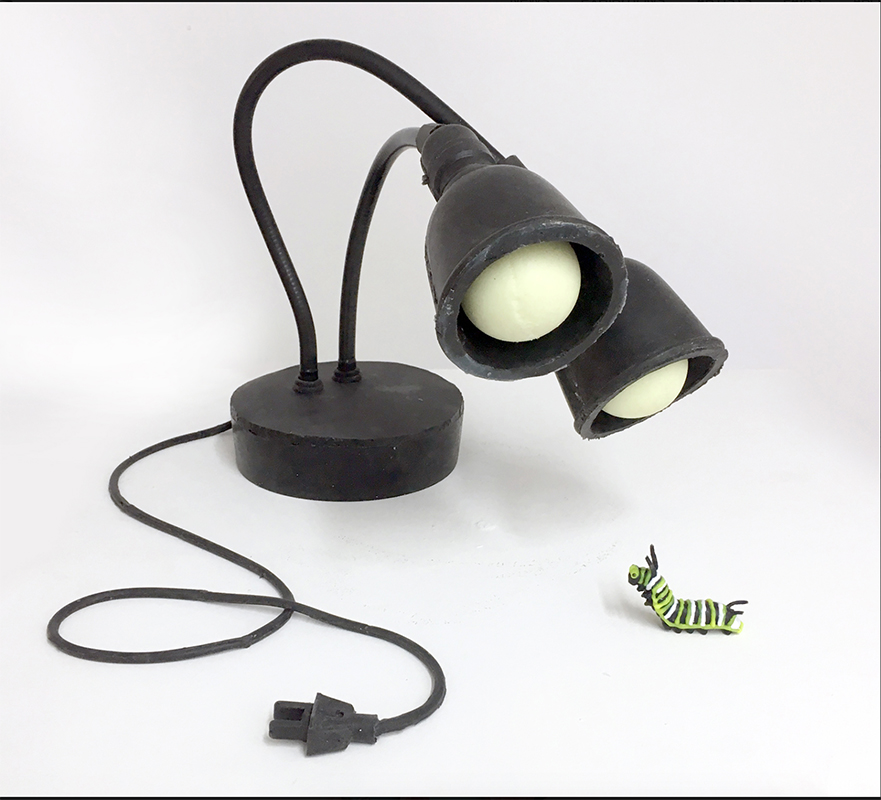 Looking at a Caterpillar by Jeanne Silverthorne