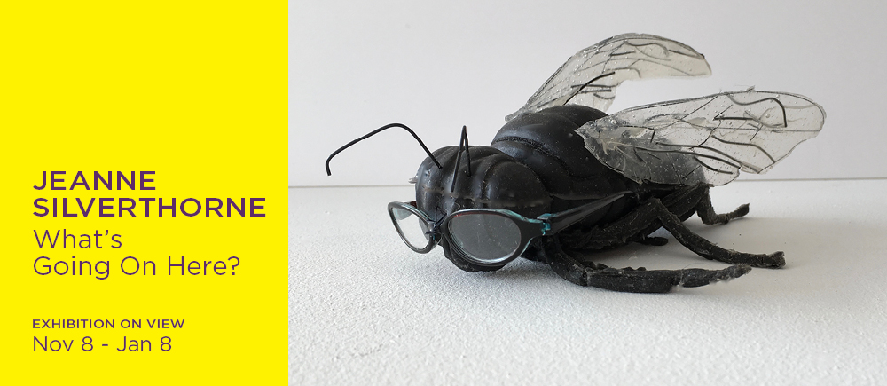 Jeanne Silverthorne What's Going On Here?