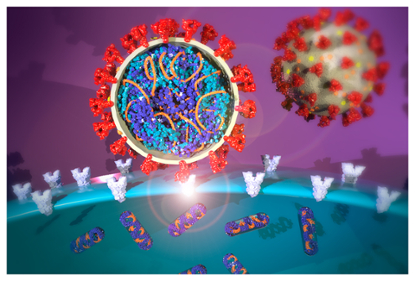 COVID-19 by Diana Lahr