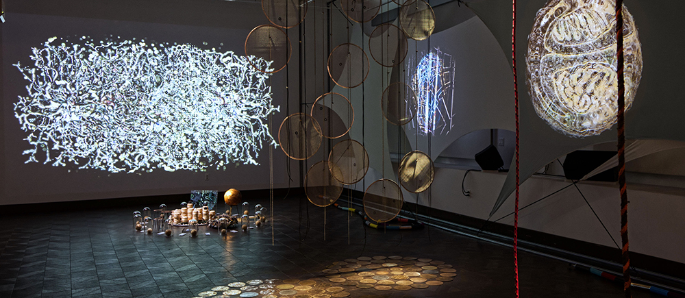 SuperCellular installation