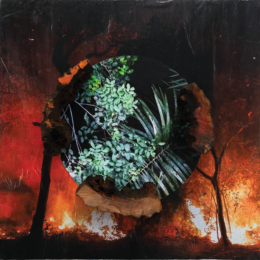 Diane Burko Elegy Amazonas I