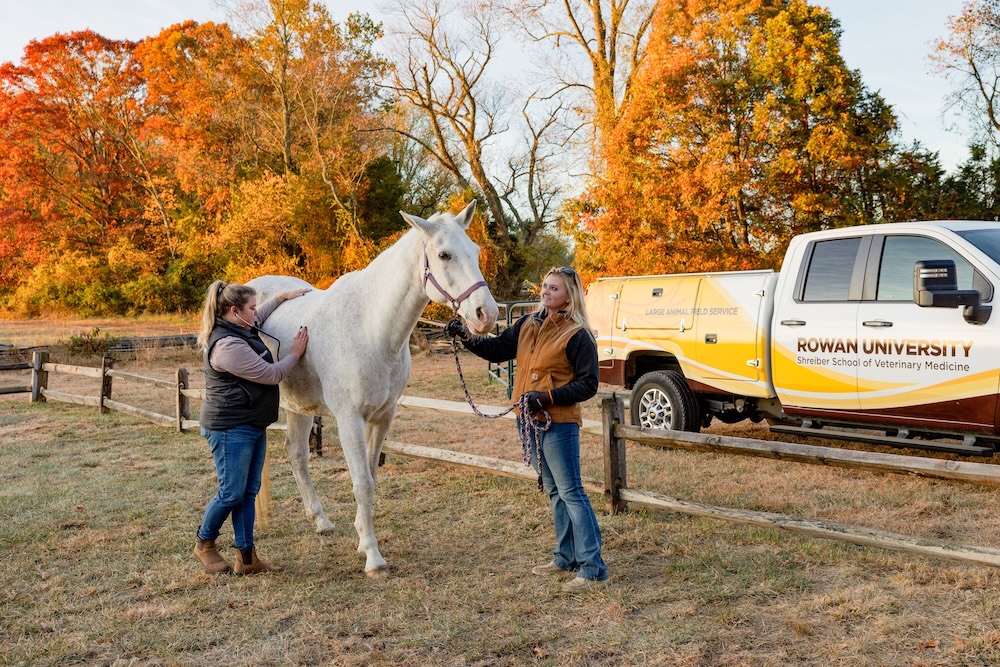 A veterinary doctor meets with an owner and her horse.
