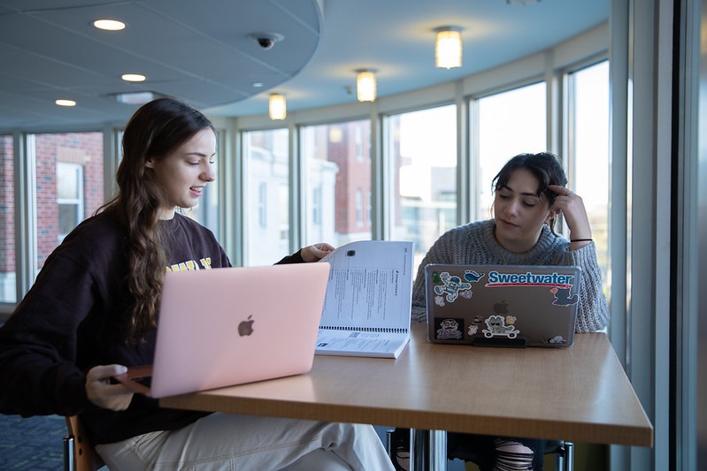 Two students work together on their laptops.