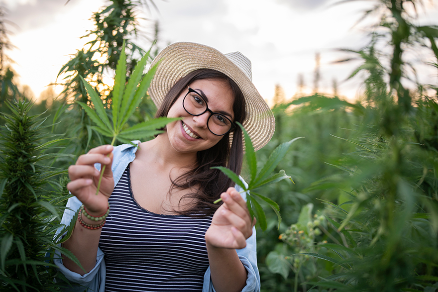 An individual stands while holding Cannabis.