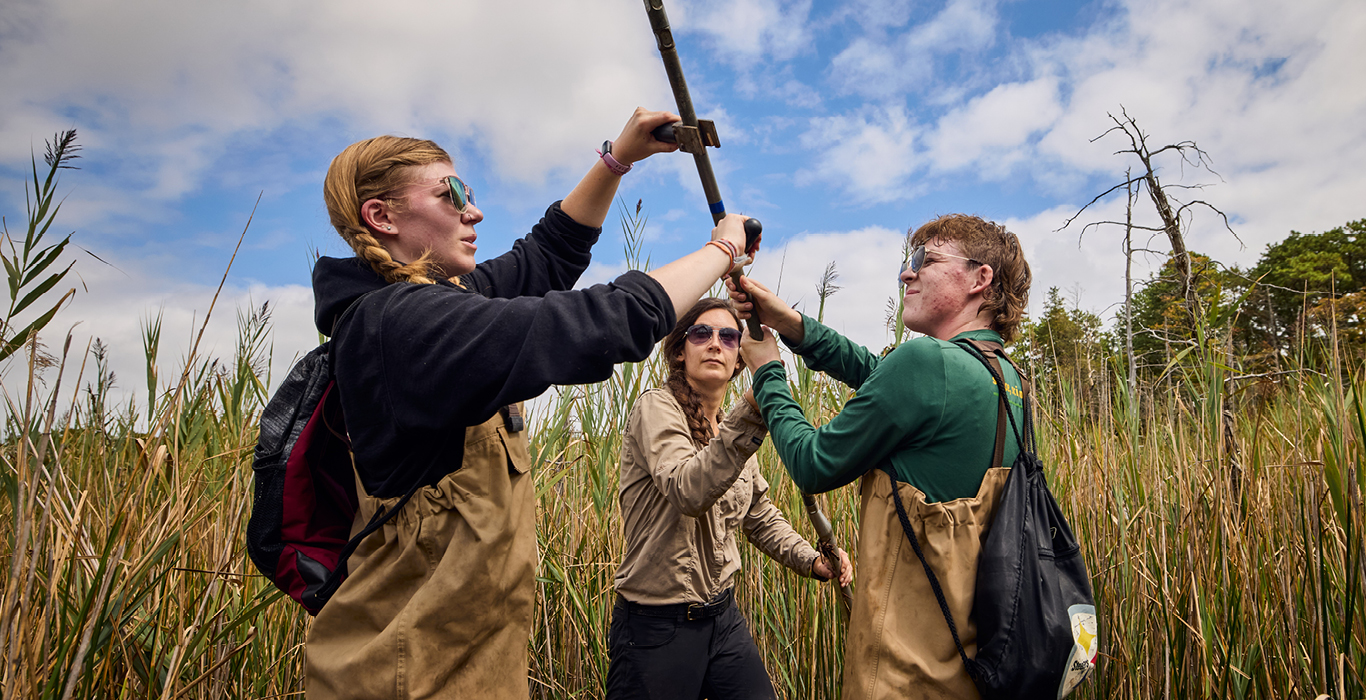 Rowan University students conduct field research.