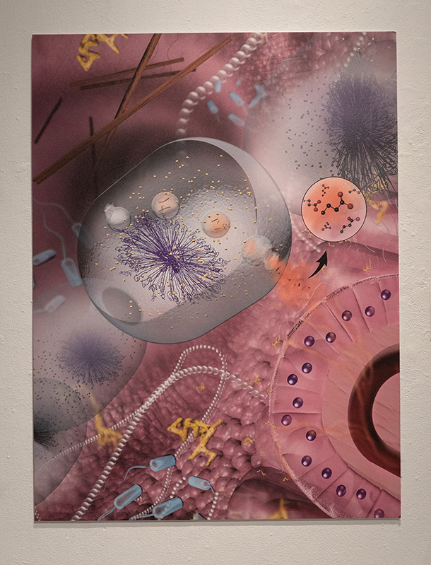 Visual Perception Plexus