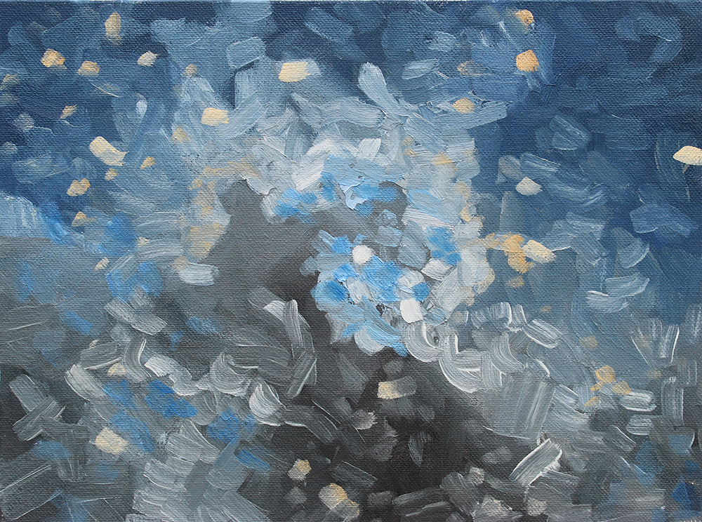 Pond Study