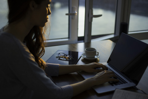 Undergraduate Programs