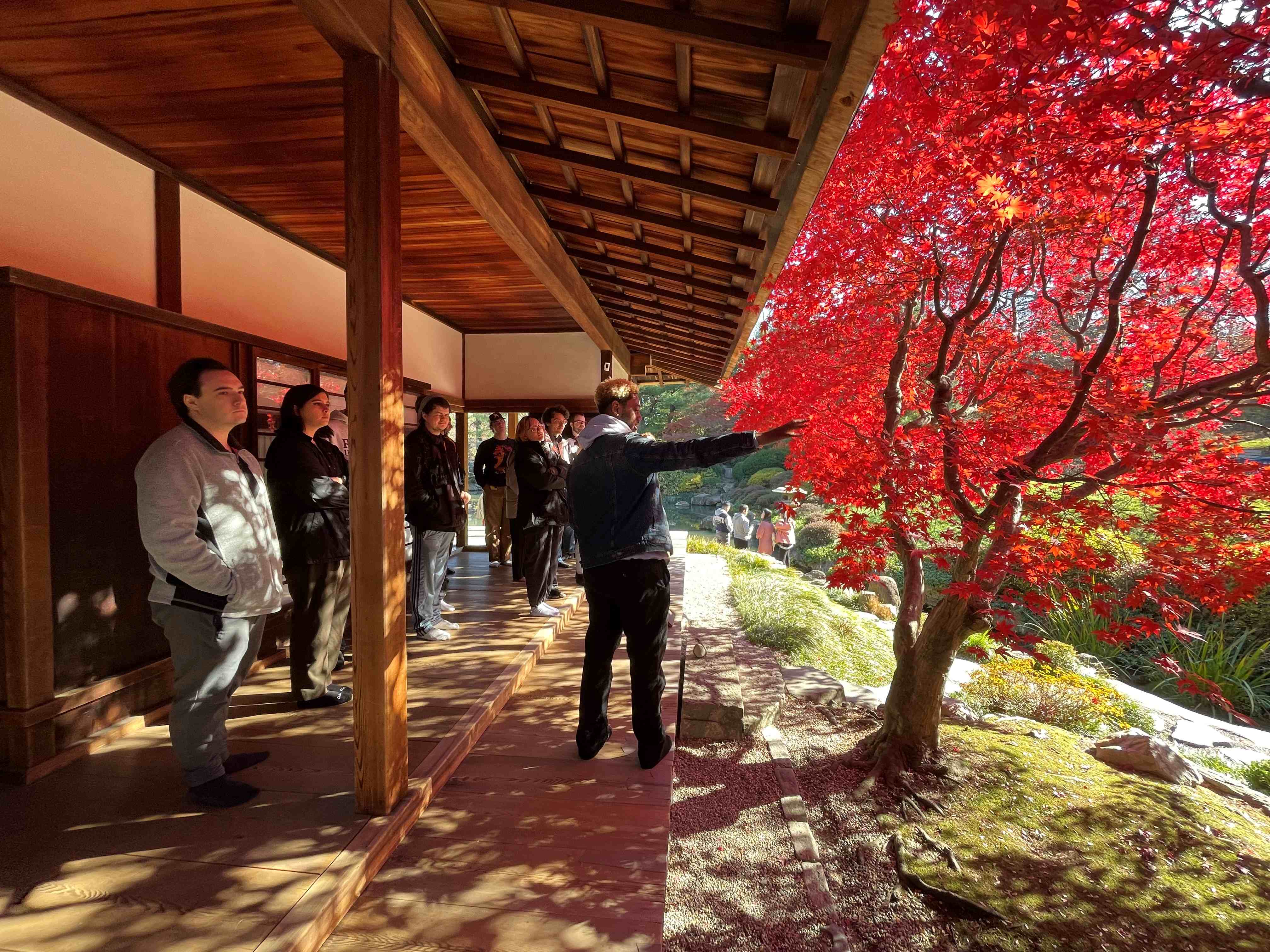 Students viewing the flora.