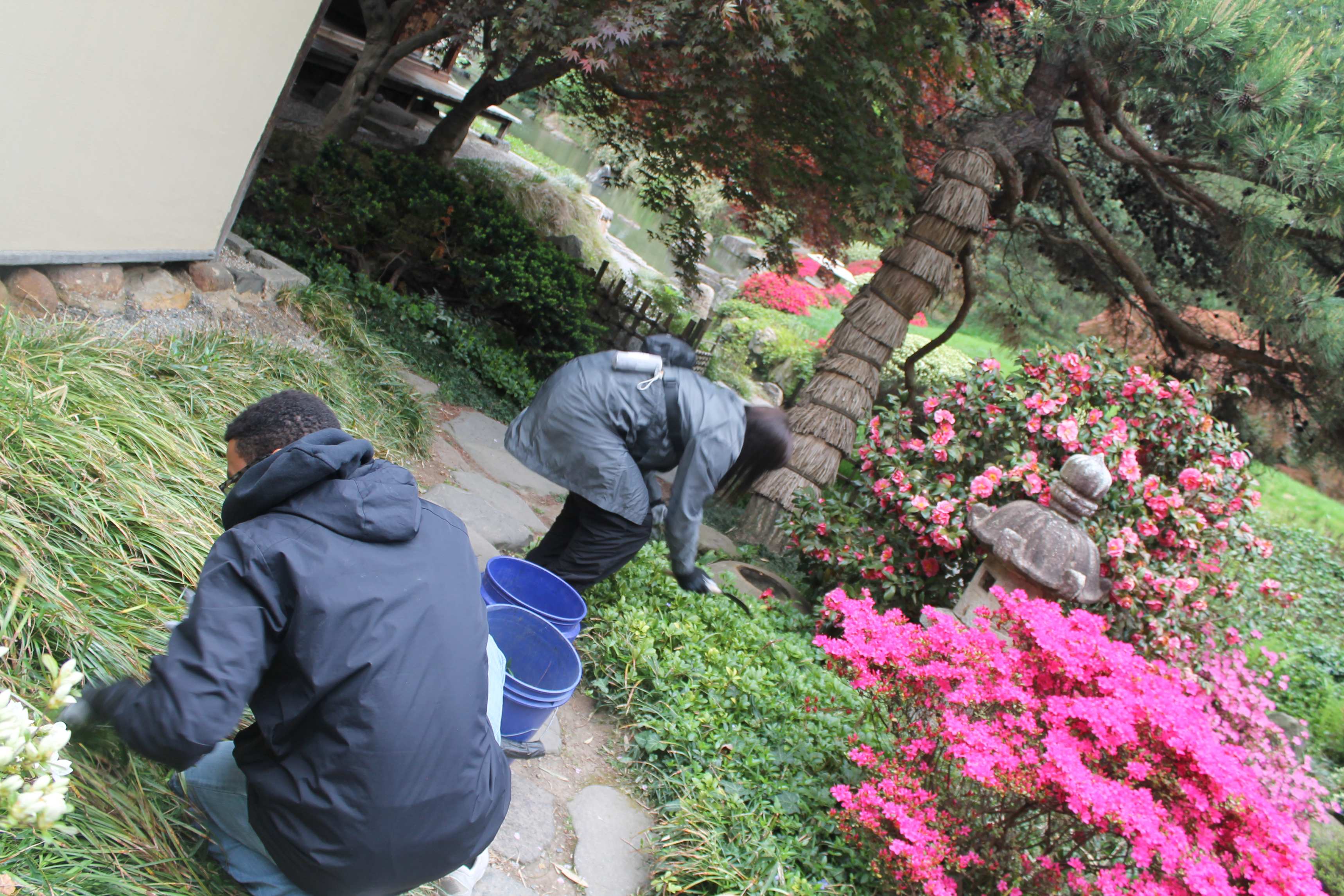 Students cleaning the garden. 