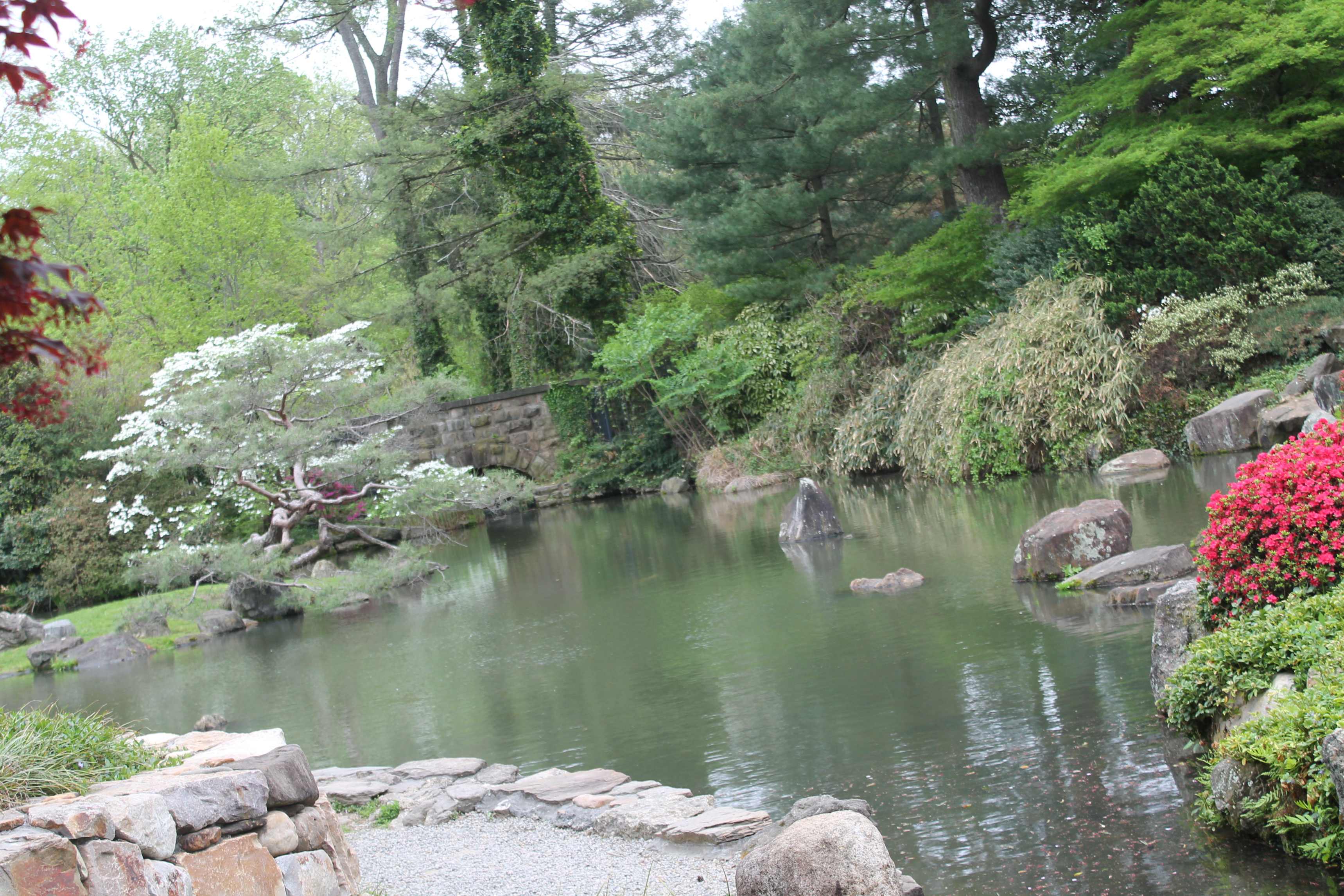 Shofuso garden.