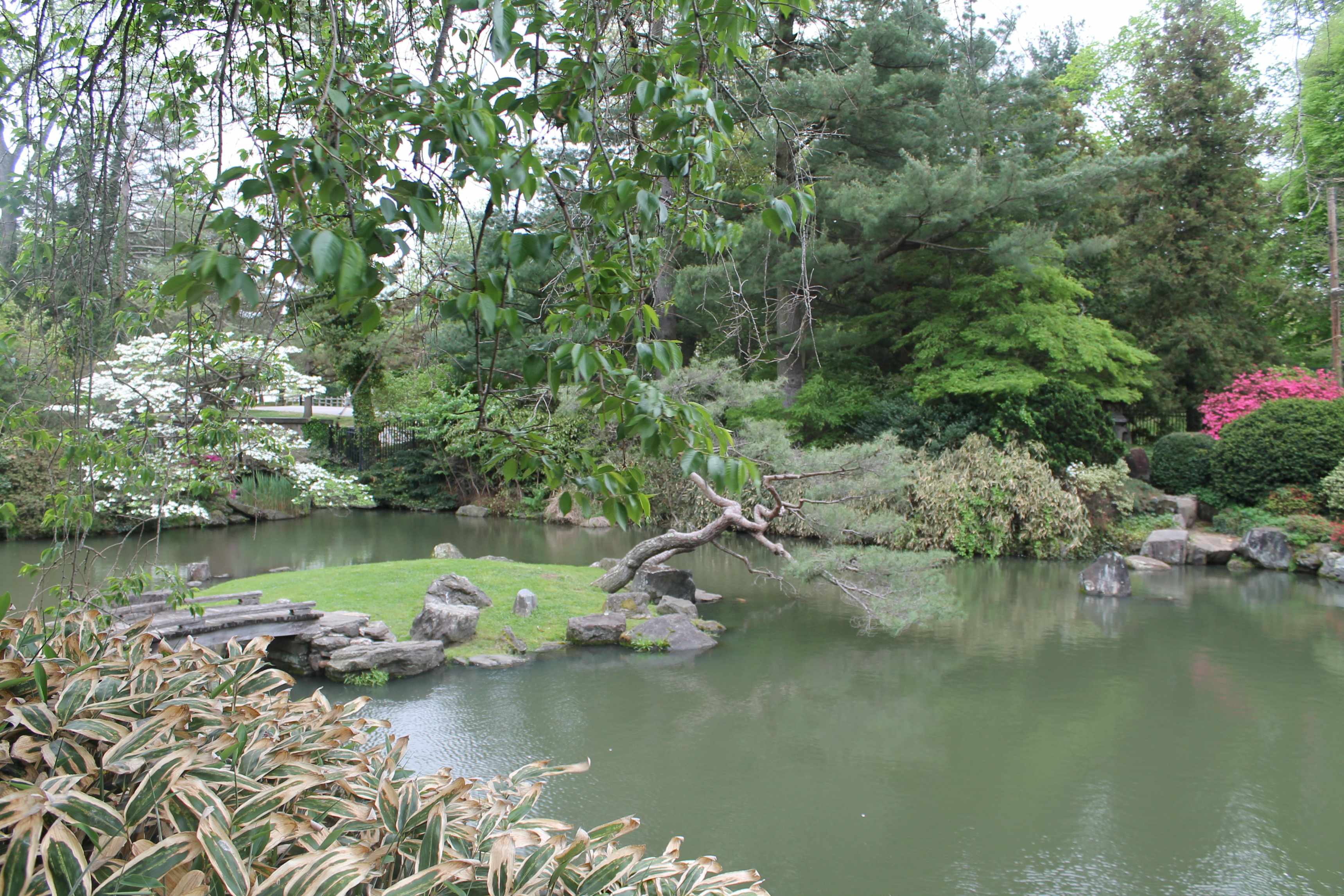 Shofuso Garden.