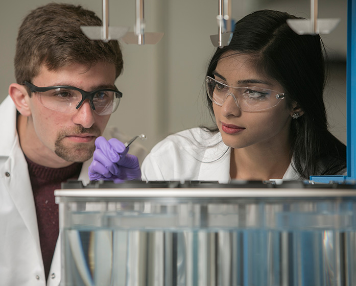 two researchers look at a specimen being held by tweezers