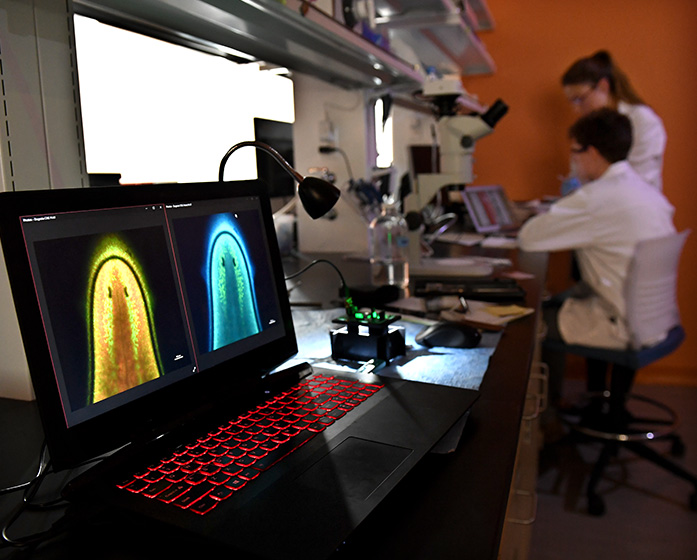 two images - one blue and one yellow - on a monitor in the foreground, while two researchers look at monitor in the background